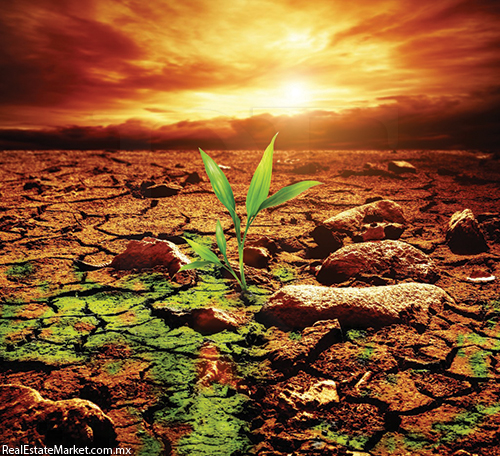 Las compañías de fertilizantes están entre los principales <br />responsables del cambio climático.