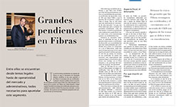 Grandes pendientes en Fibras - Ramiro González Luna