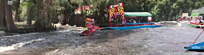 Real Estate,Los visitantes extranjeros no podían creer el movimiento en los canales de Xochimilco.