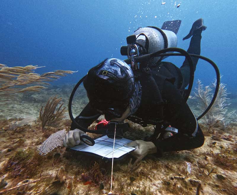 Real Estate Market &amp; Lifestyle,Real Estate,Real Estate México,60 años de Inbursa,Grupo Financiero Inbursa,Inbursa,Ing Carlos Slim,Marco Antonio Slim,Grupo Carso, 