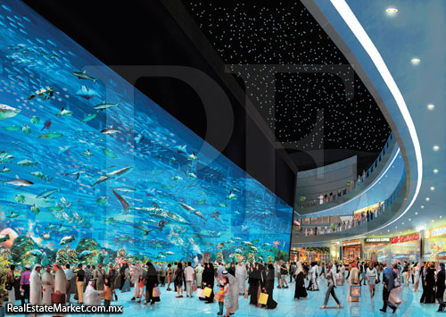 Dubai mall Aquarium|Taringa