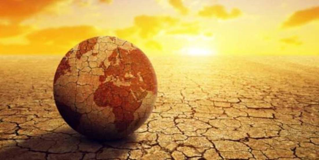Desertificación y sequía, un llamado urgente para proteger nuestro futuro