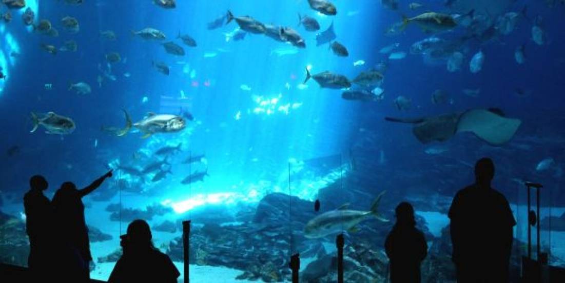 Inauguran acuario sustentable en Monterrey