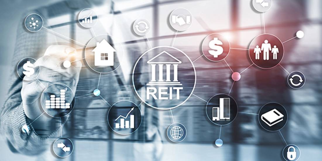 Con una economía en aterrizaje suave, los REITs esperan expansión en 2025