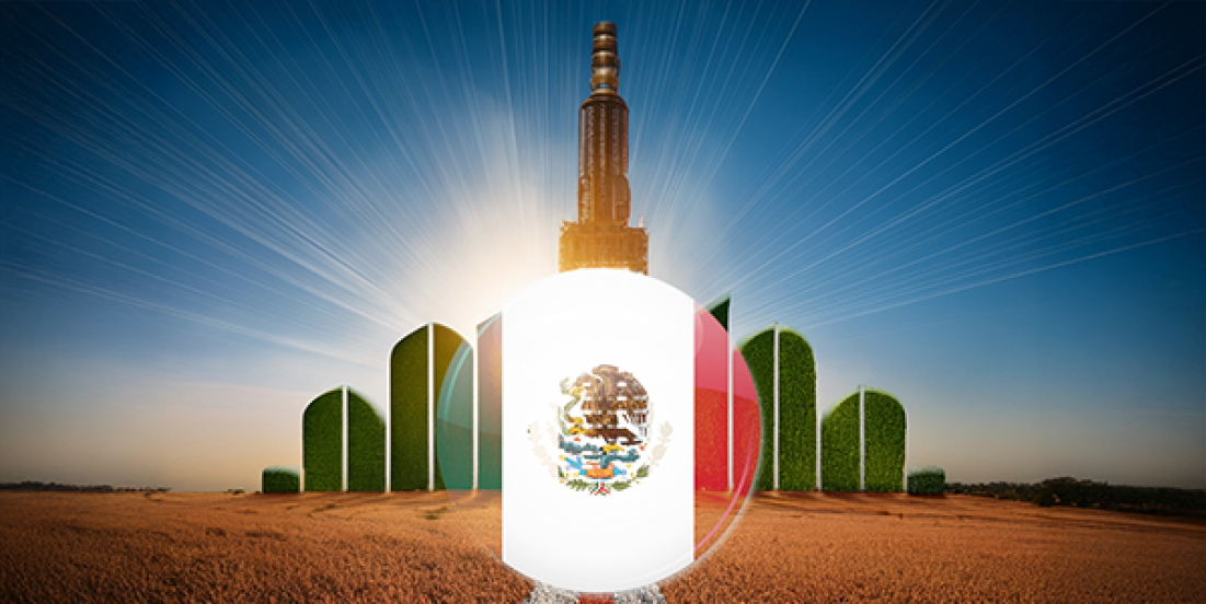 La sostenibilidad en México: De opción ética a estrategia empresarial rentable