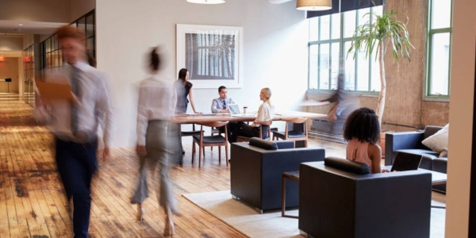 León, un mercado de oficinas competitivo en México por precio y demanda