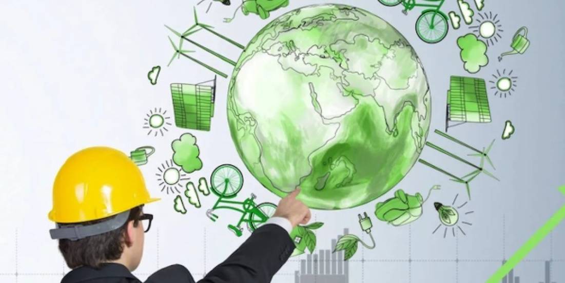 Crecen los empleos verdes: Energías renovables impulsan un futuro sostenible