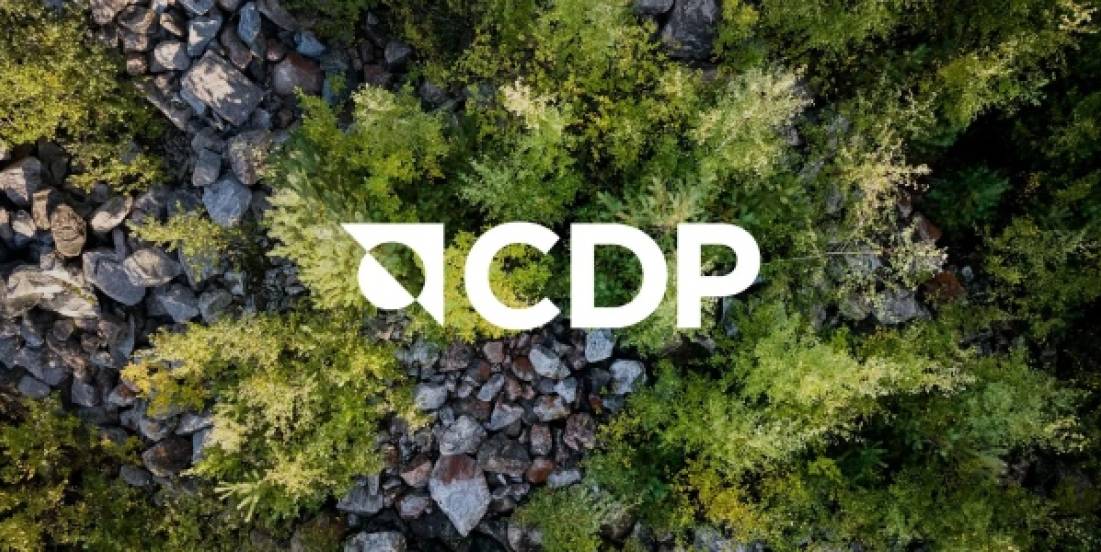 Guadalajara entra a la élite ambiental global, según CDP 2024