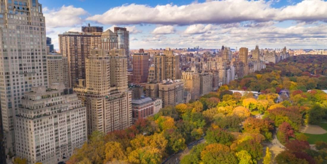 Las ciudades, epicentro de la acción climática global