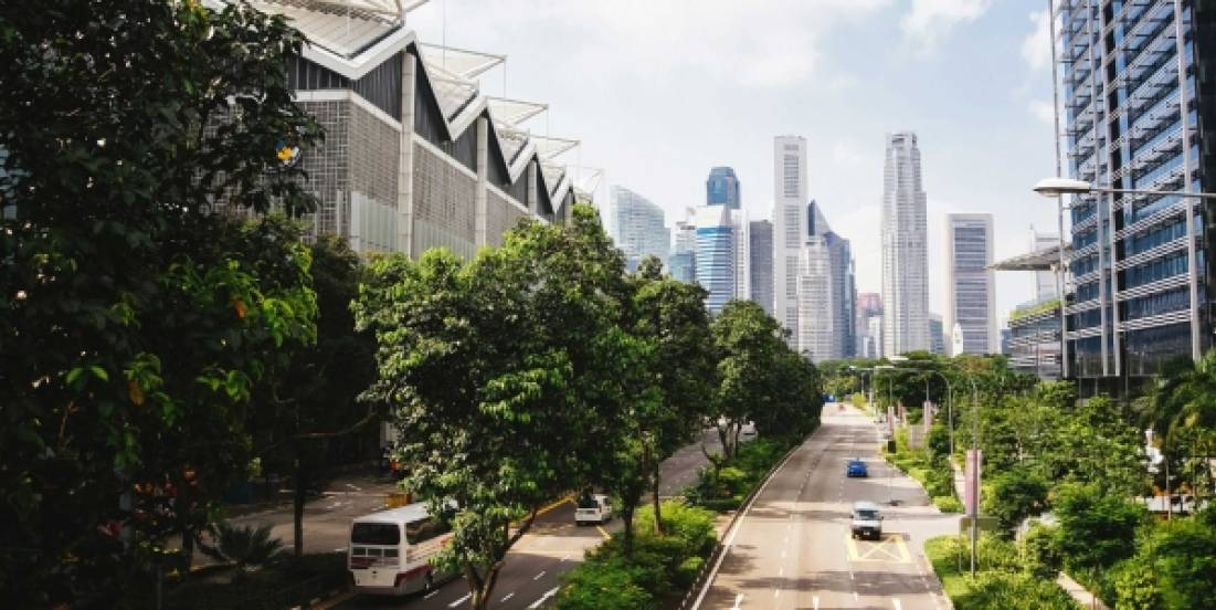 Construir juntos: la sostenibilidad como tarea colectiva en las ciudades mexicanas