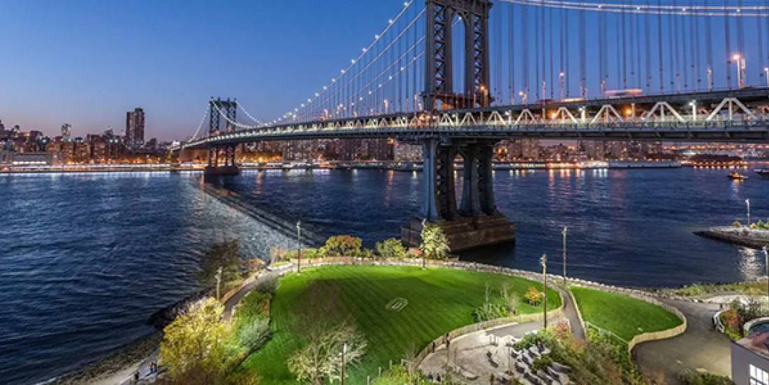 Nueva York presenta plan histórico para proteger su biodiversidad urbana