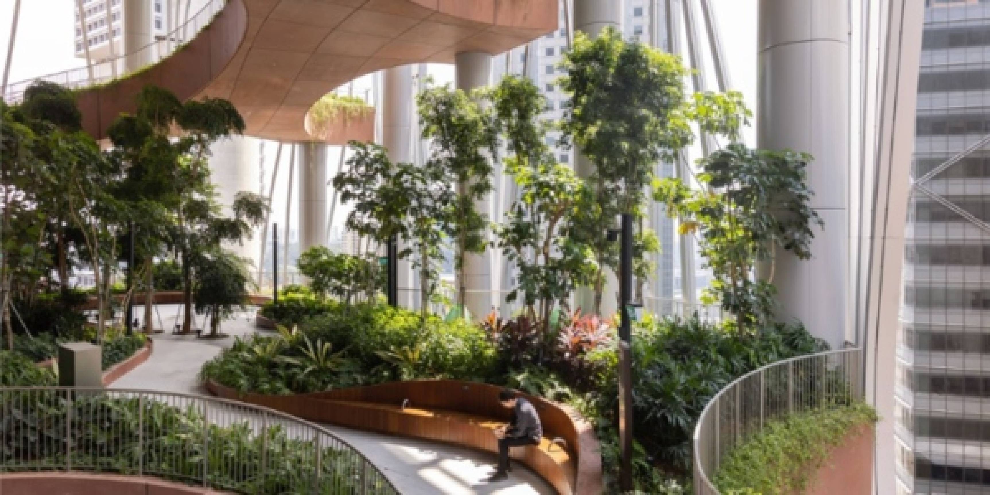 Redescubriendo la conexión con la naturaleza en los espacios que habitamos