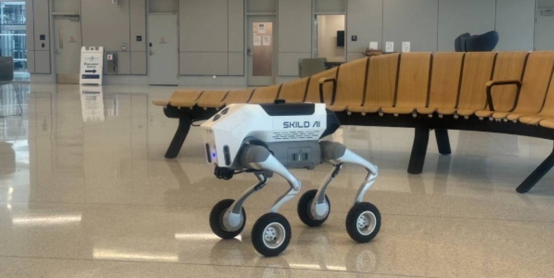 Perros robot con IA apoyarán operaciones en un aeropuerto de EU